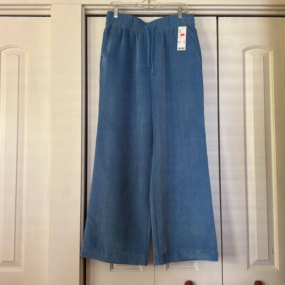 BDG Jessie high rise wide leg corduroy pants